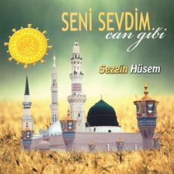 Sezgin Hüsem Seni Sevdim Can Gibi