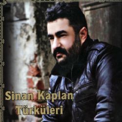 Sinan Kaplan Sensiz Olmuyor Gülüm