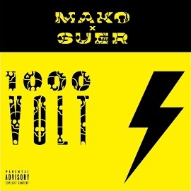 Suer 1000 Volt