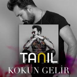 Tanıl Kokun Gelir