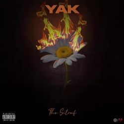 The Sitraf Yak