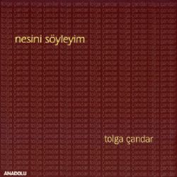 Tolga Çandar Nesini Söyleyim