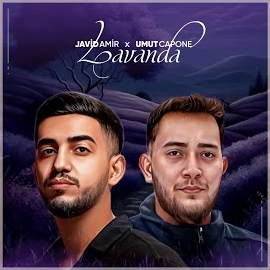 Umut Capone Lavanda