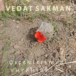 Vedat Sakman Çiçeklerimizi Vurdular