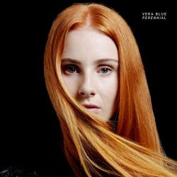 Vera Blue Perennial