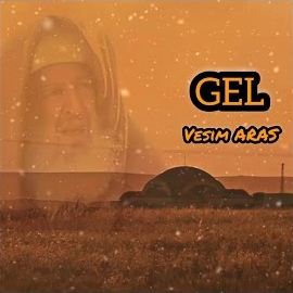 Vesim Aras Gel