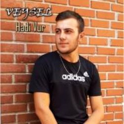 Veysel Hadi Vur