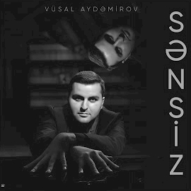 Vüsal Aydemirov Sensiz