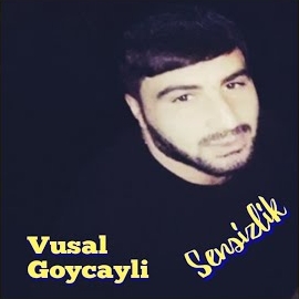 Vüsal Göyçaylı Sensizlik