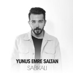 Yunus Emre Saltan Sabıkalı