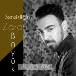 Yusuf Özavcı Sensizliğin Zararı Büyük