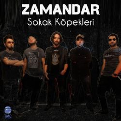 Zamandar Sokak Köpekleri