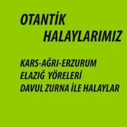 Ziya Özbay Otantik Halaylarımız